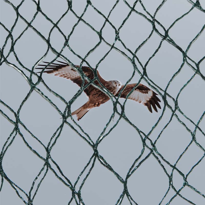 Материалдық таңдау және құстардың алдын алу торларының артықшылықтары мен кемшіліктері қандай?