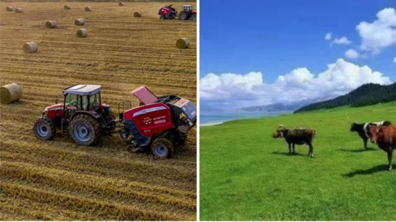 Ауылшаруашылық іс-әрекеттерінде тоқыма торын қолдану