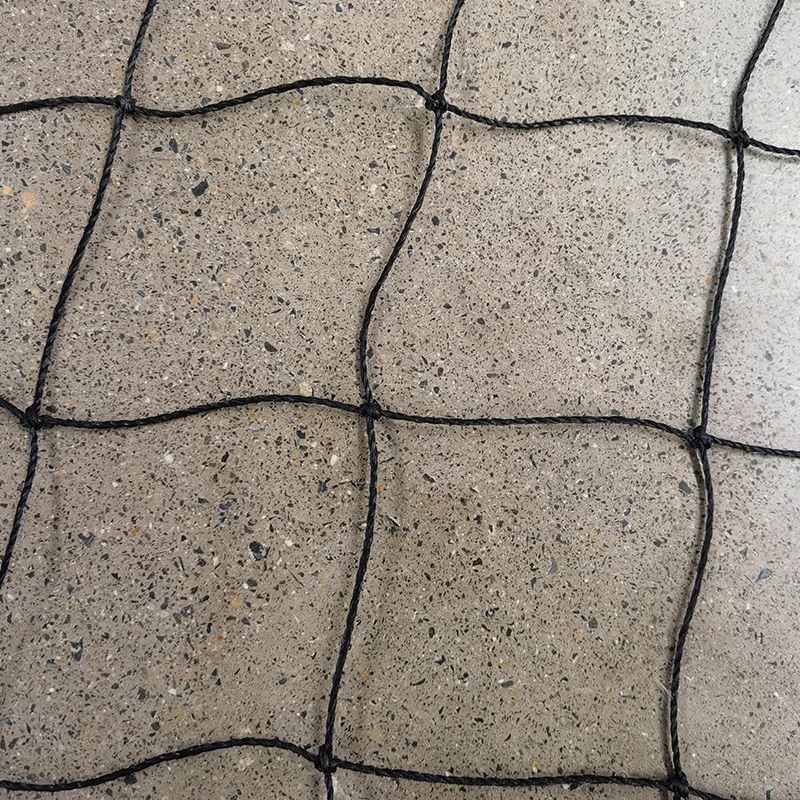 Крикет торларының рөлі