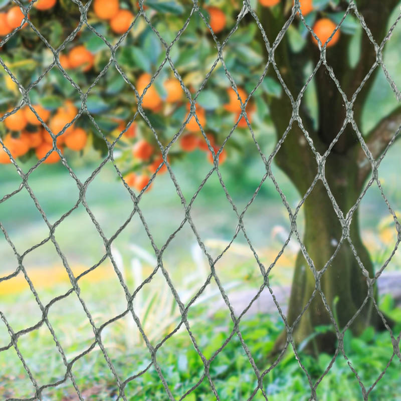 Құстарды торлау жануарларының кедергілері