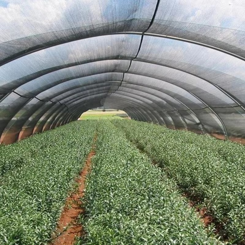 Өсімдіктерге арналған бақша көлеңкелі шүберек 40% күн сәулесінен қорғалған